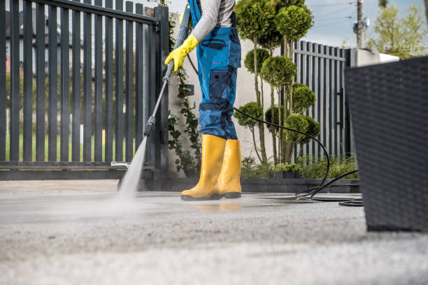 Best Driveway Pressure Washing  in Belleair Bluffs, FL